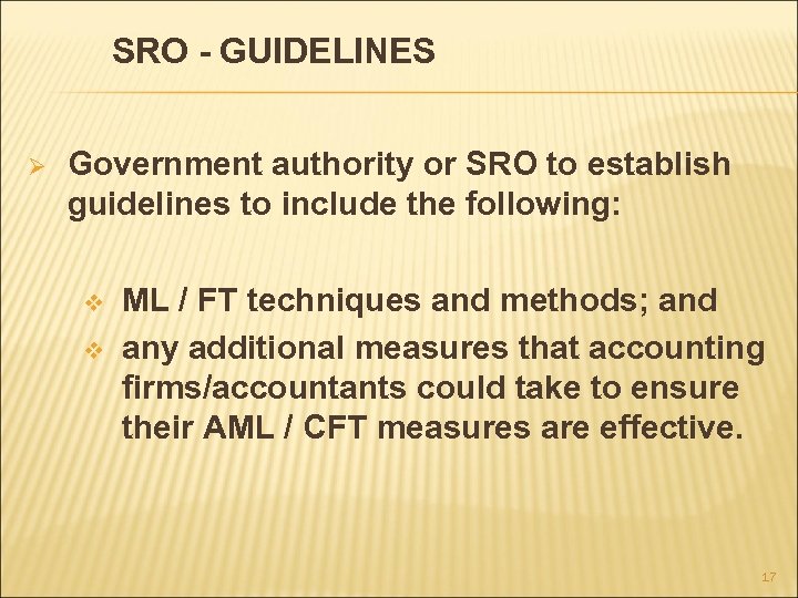 SRO - GUIDELINES Ø Government authority or SRO to establish guidelines to include the