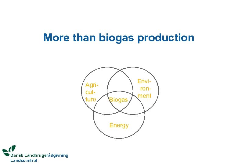 More than biogas production Agriculture Biogas Energy Dansk Landbrugsrådgivning Landscentret Environment 