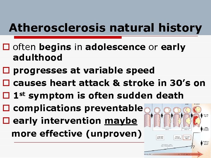 Atherosclerosis natural history o often begins in adolescence or early adulthood o progresses at