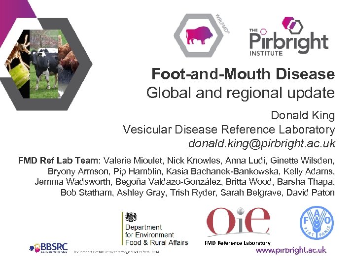 Foot-and-Mouth Disease Global and regional update Donald King Vesicular Disease Reference Laboratory donald. king@pirbright.