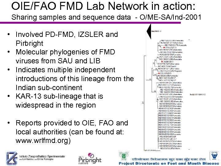 OIE/FAO FMD Lab Network in action: Sharing samples and sequence data - O/ME-SA/Ind-2001 •
