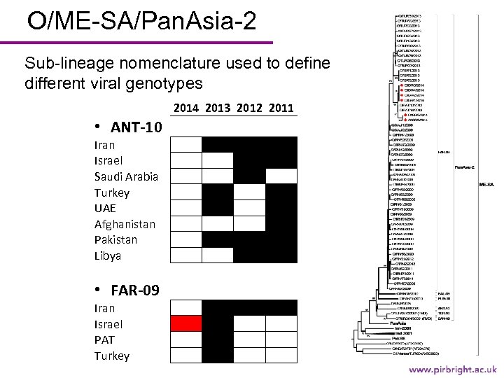 O/ME-SA/Pan. Asia-2 Sub-lineage nomenclature used to define different viral genotypes 2014 2013 2012 2011