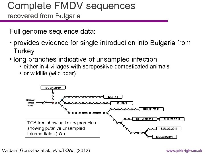 Complete FMDV sequences recovered from Bulgaria Full genome sequence data: • provides evidence for