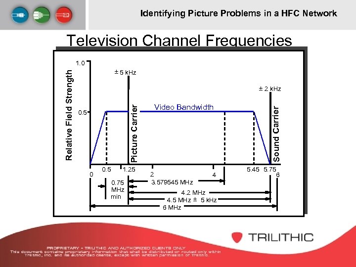 Identifying Picture Problems in a HFC Network Television Channel Frequencies ± 5 k. Hz