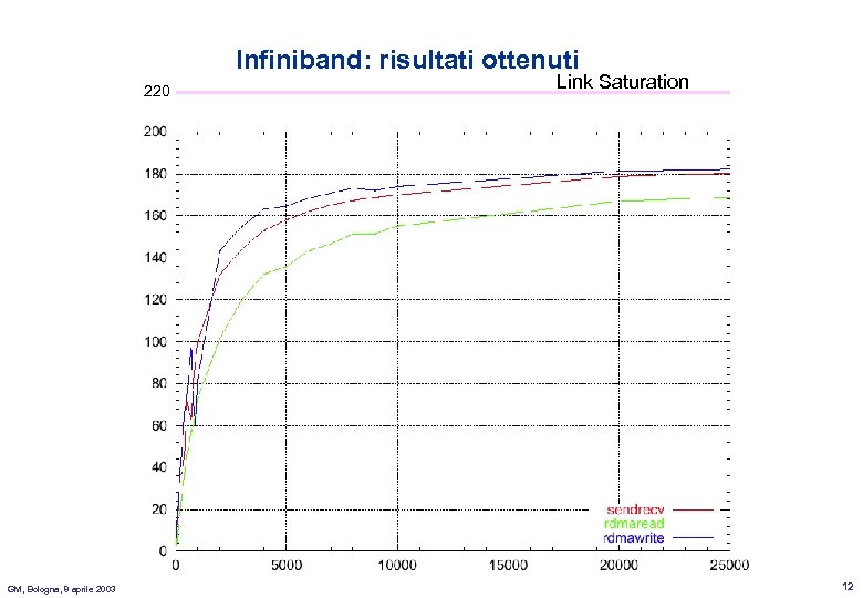 Infiniband: risultati ottenuti 220 GM, Bologna, 8 aprile 2003 Link Saturation 12 