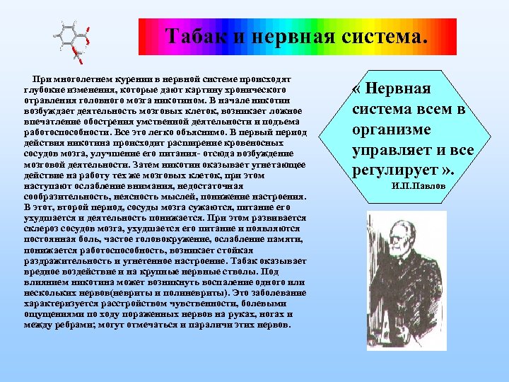 Табак и нервная система. При многолетнем курении в нервной системе происходят глубокие изменения, которые