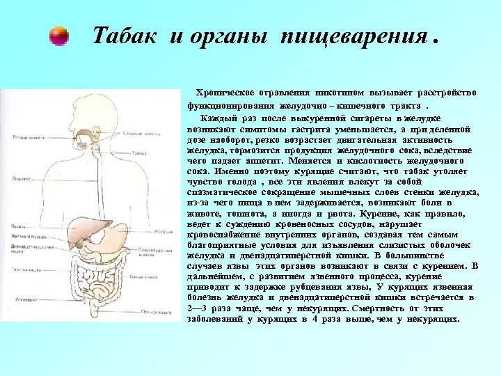 Табак и органы пищеварения. Хроническое отравления никотином вызывает расстройство функционирования желудочно – кишечного тракта
