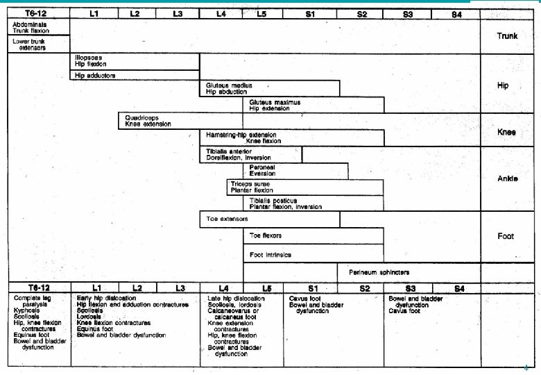 Rehabilitation of MMC 4 