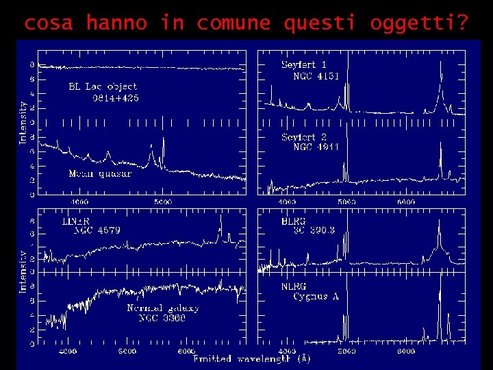 cosa hanno in comune questi oggetti? 