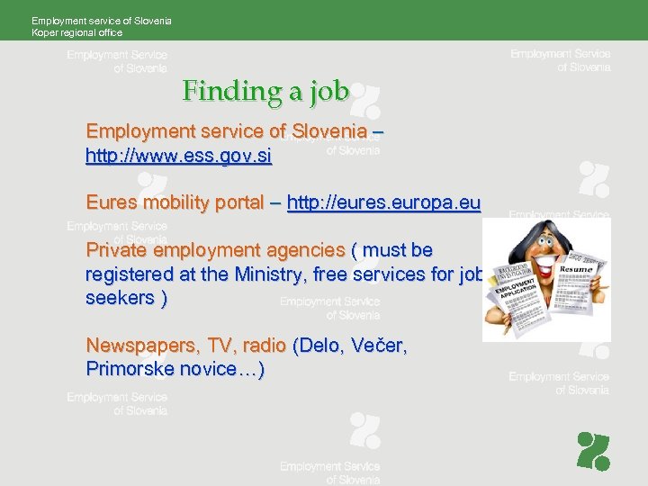 Employment service of Slovenia Koper regional office Finding a job Employment service of Slovenia