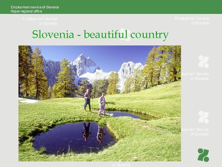 Employment service of Slovenia Koper regional office Slovenia - beautiful country 