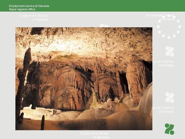 Employment service of Slovenia Koper regional office 