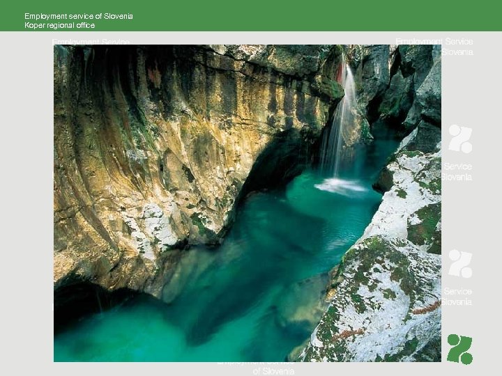 Employment service of Slovenia Koper regional office 