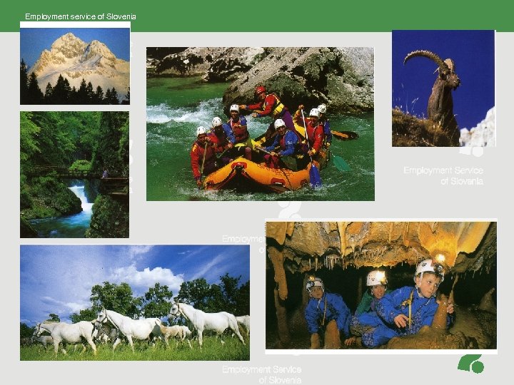 Employment service of Slovenia Koper regional office 