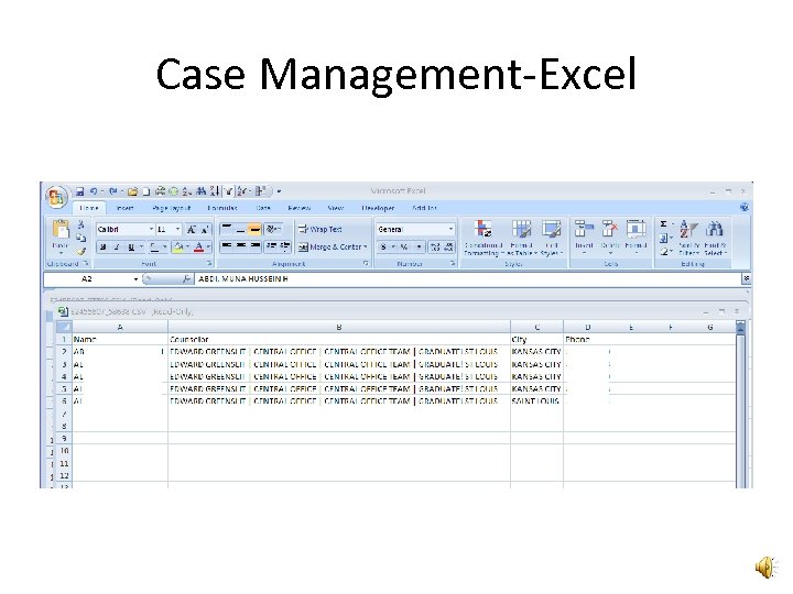 Case Management-Excel 