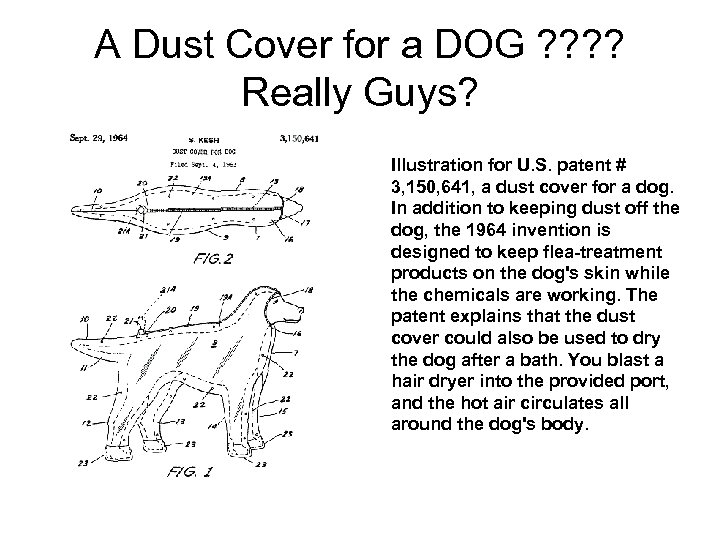 A Dust Cover for a DOG ? ? Really Guys? Illustration for U. S.