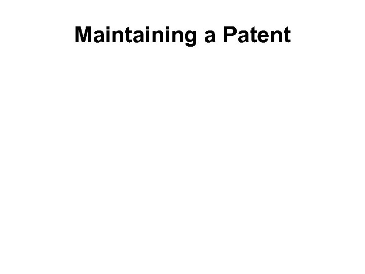 Maintaining a Patent 