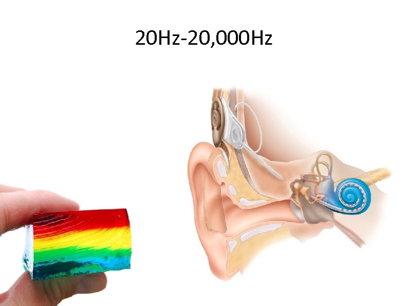 20 Hz-20, 000 Hz 