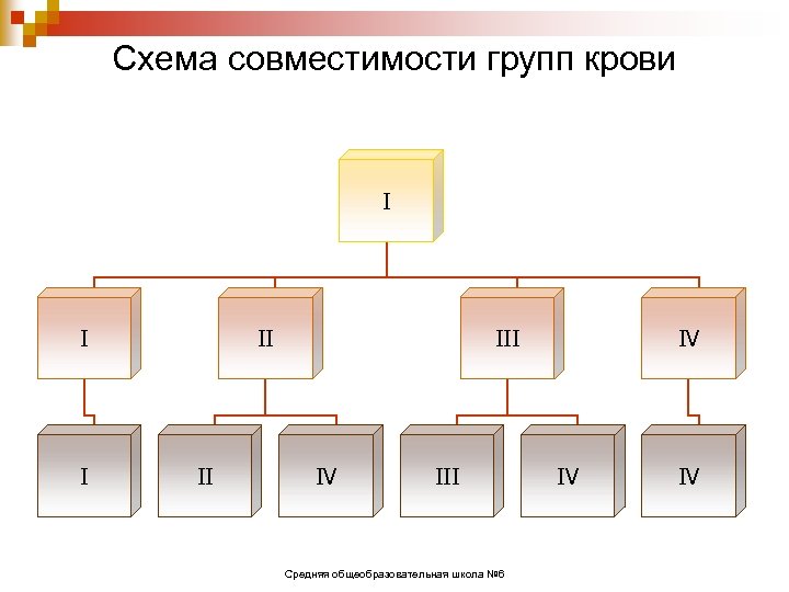 Схема совместимости групп крови I II II IV III Средняя общеобразовательная школа № 6