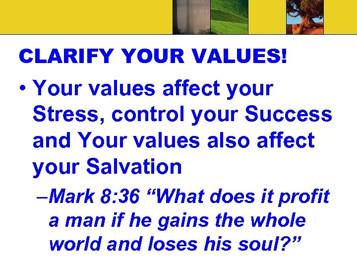 CLARIFY YOUR VALUES! • Your values affect your Stress, control your Success and Your