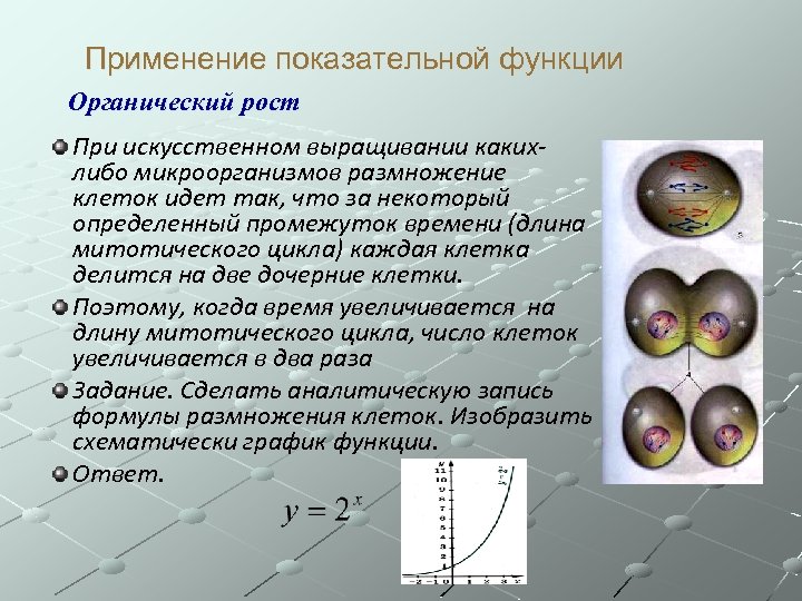 Применение показательной функции Органический рост При искусственном выращивании какихлибо микроорганизмов размножение клеток идет так,