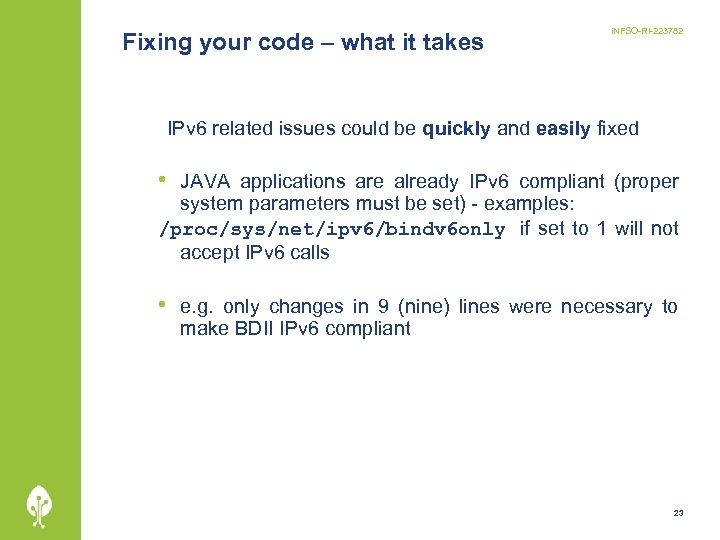 Fixing your code – what it takes INFSO-RI-223782 IPv 6 related issues could be