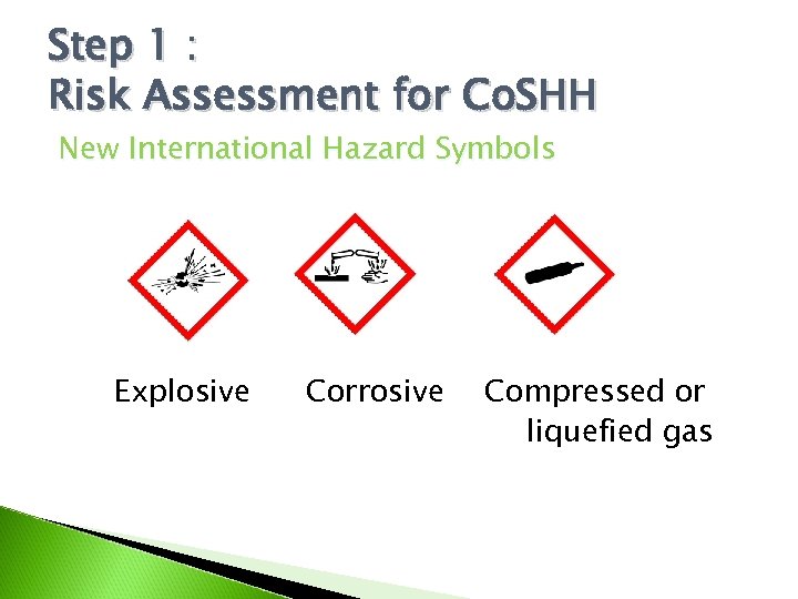 Step 1 : Risk Assessment for Co. SHH New International Hazard Symbols Explosive Corrosive