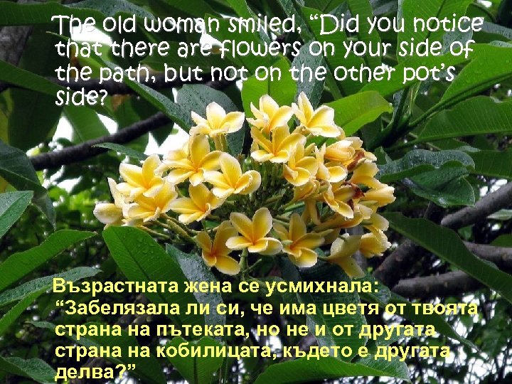 The old woman smiled, “Did you notice that there are flowers on your side
