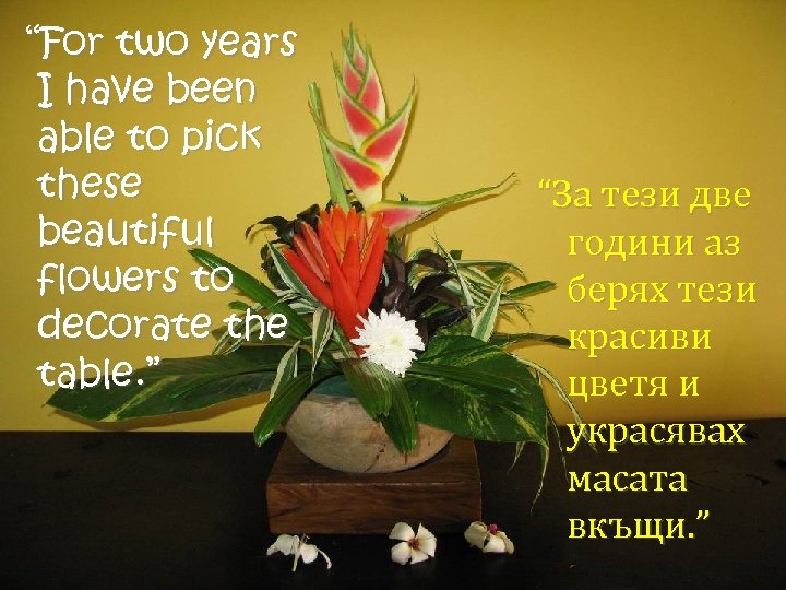 “For two years I have been able to pick these beautiful flowers to decorate