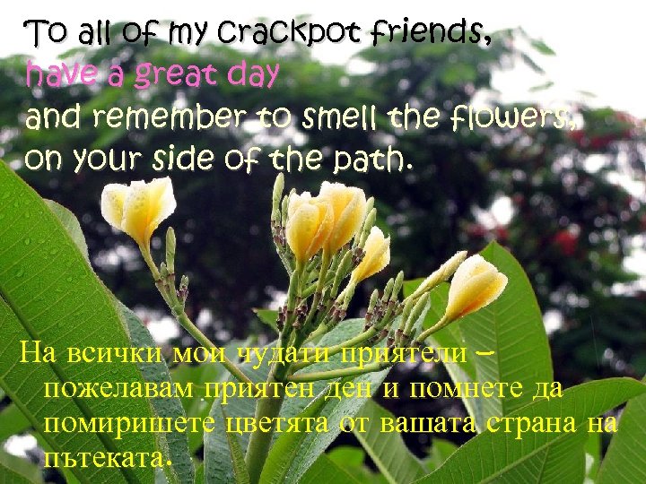 To all of my crackpot friends, have a great day and remember to smell