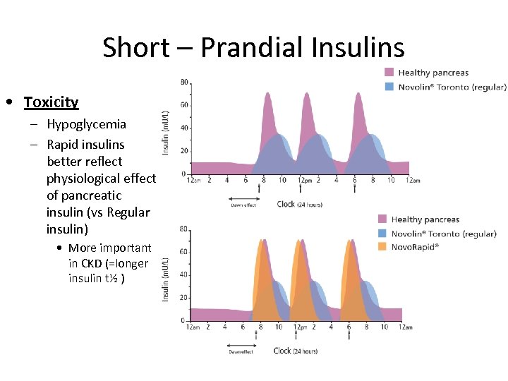 Short – Prandial Insulins • Toxicity – Hypoglycemia – Rapid insulins better reflect physiological