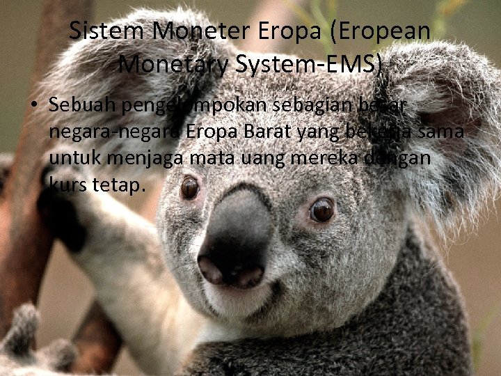 Sistem Moneter Eropa (Eropean Monetary System-EMS) • Sebuah pengelompokan sebagian besar negara-negara Eropa Barat