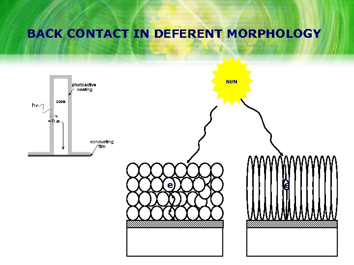 BACK CONTACT IN DEFERENT MORPHOLOGY SUN e e 