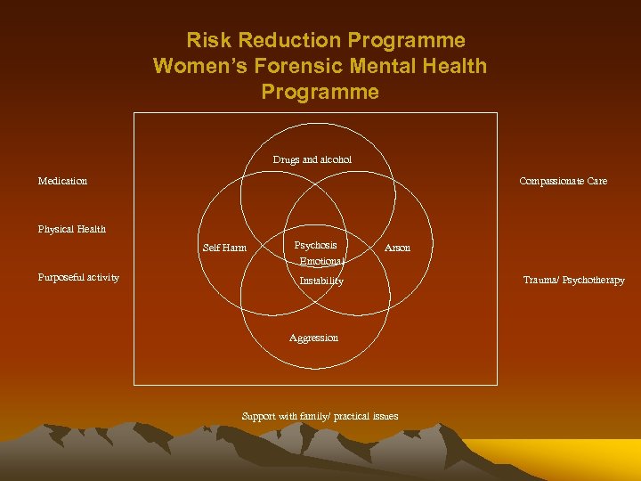 Risk Reduction Programme Women’s Forensic Mental Health Programme Drugs and alcohol Medication Compassionate Care