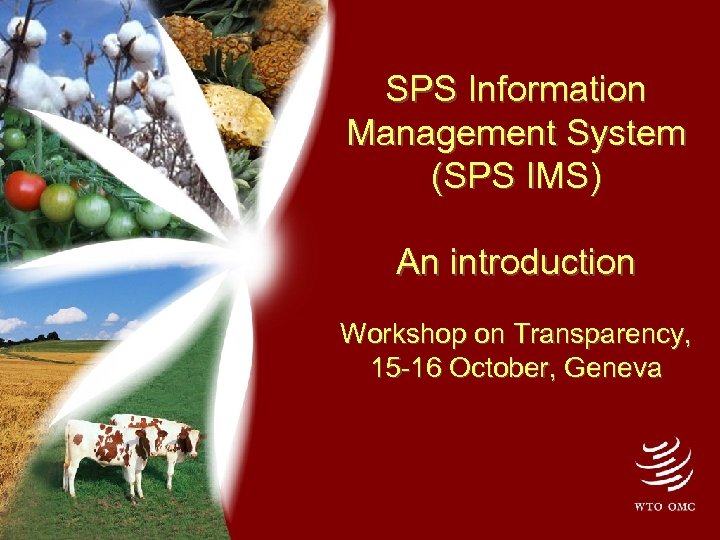 SPS Information Management System (SPS IMS) An introduction Workshop on Transparency, 15 -16 October,