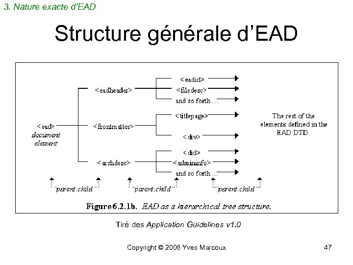 3. Nature exacte d’EAD Structure générale d’EAD Tiré des Application Guidelines v 1. 0