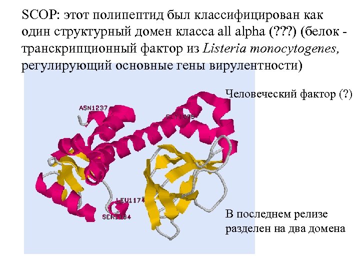 SCOP: этот полипептид был классифицирован как один структурный домен класса all alpha (? ?