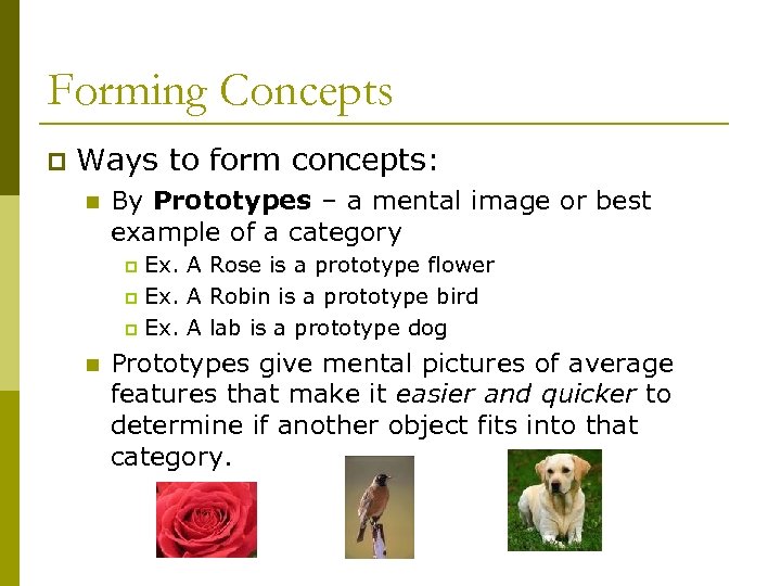 Forming Concepts p Ways to form concepts: n By Prototypes – a mental image