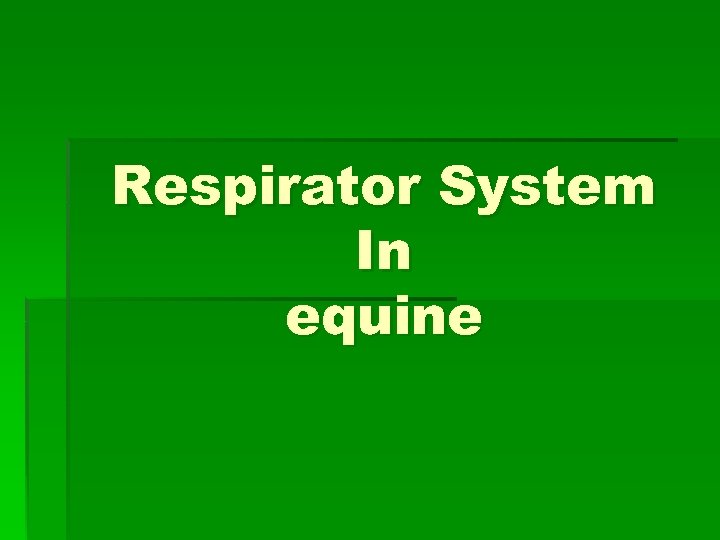 Respirator System In equine 