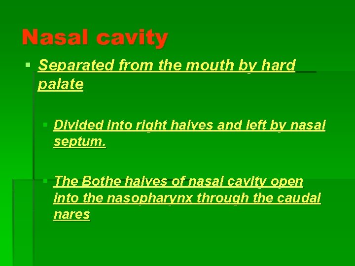 Nasal cavity § Separated from the mouth by hard palate § Divided into right