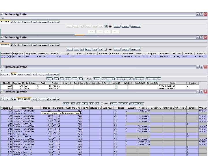 Specimens Application n This application allows for detailed input of data on individual specimens