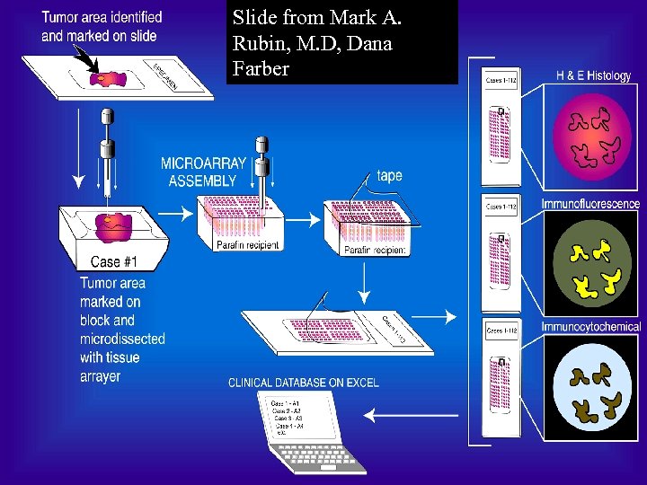 Slide from Mark A. Rubin, M. D, Dana Farber 