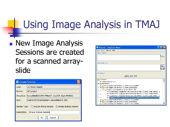 Using Image Analysis in TMAJ n New Image Analysis Sessions are created for a
