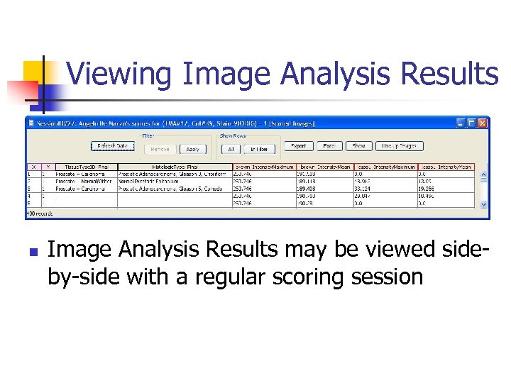 Viewing Image Analysis Results n Image Analysis Results may be viewed sideby-side with a