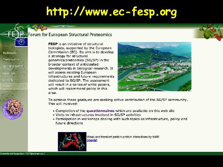http: //www. ec-fesp. org 