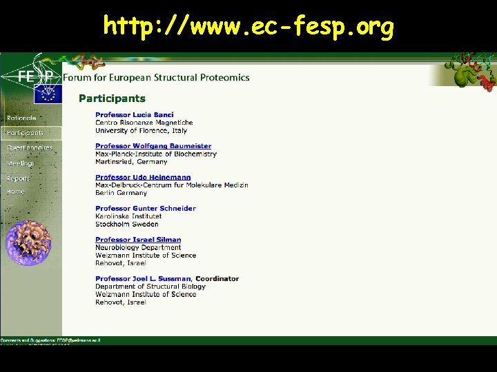 http: //www. ec-fesp. org 