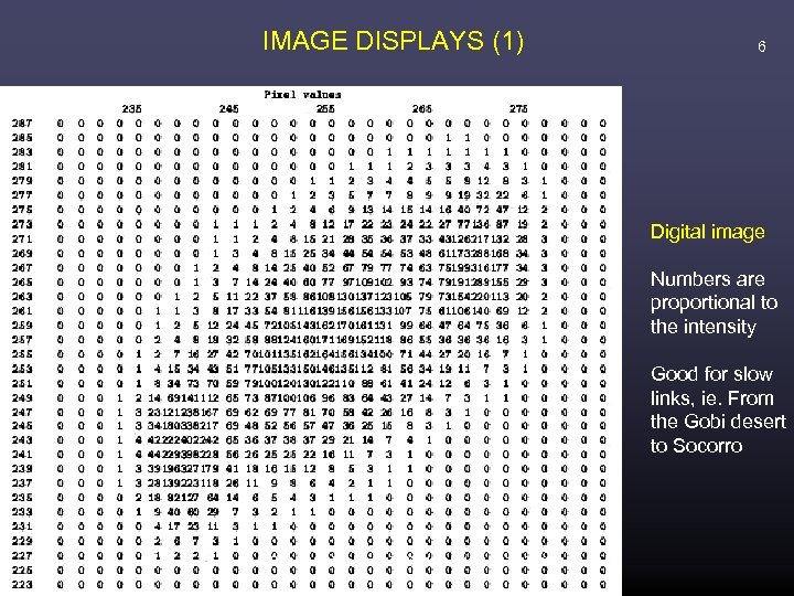 IMAGE DISPLAYS (1) 6 Digital image Numbers are proportional to the intensity Good for