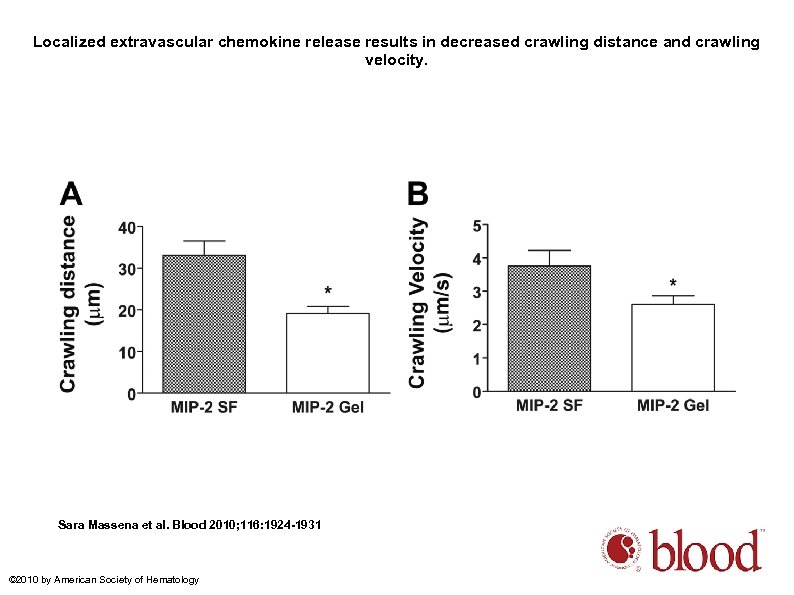 Localized extravascular chemokine release results in decreased crawling distance and crawling velocity. Sara Massena