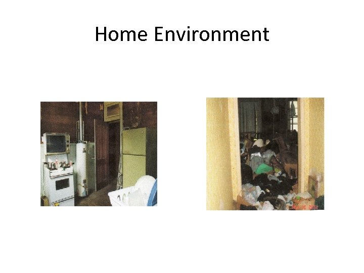 Home Environment 