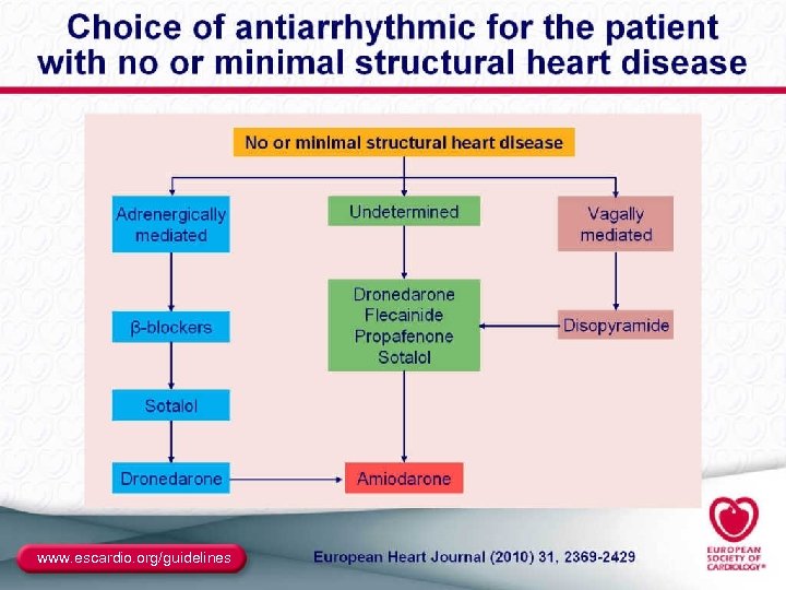 www. escardio. org/guidelines 